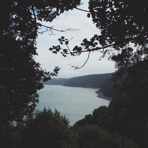 国产男男GayGay网站
