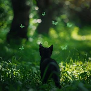 国产男男GayGay网站
