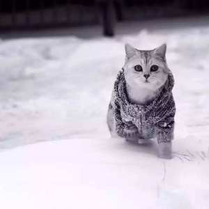 国产男男GayGay网站
